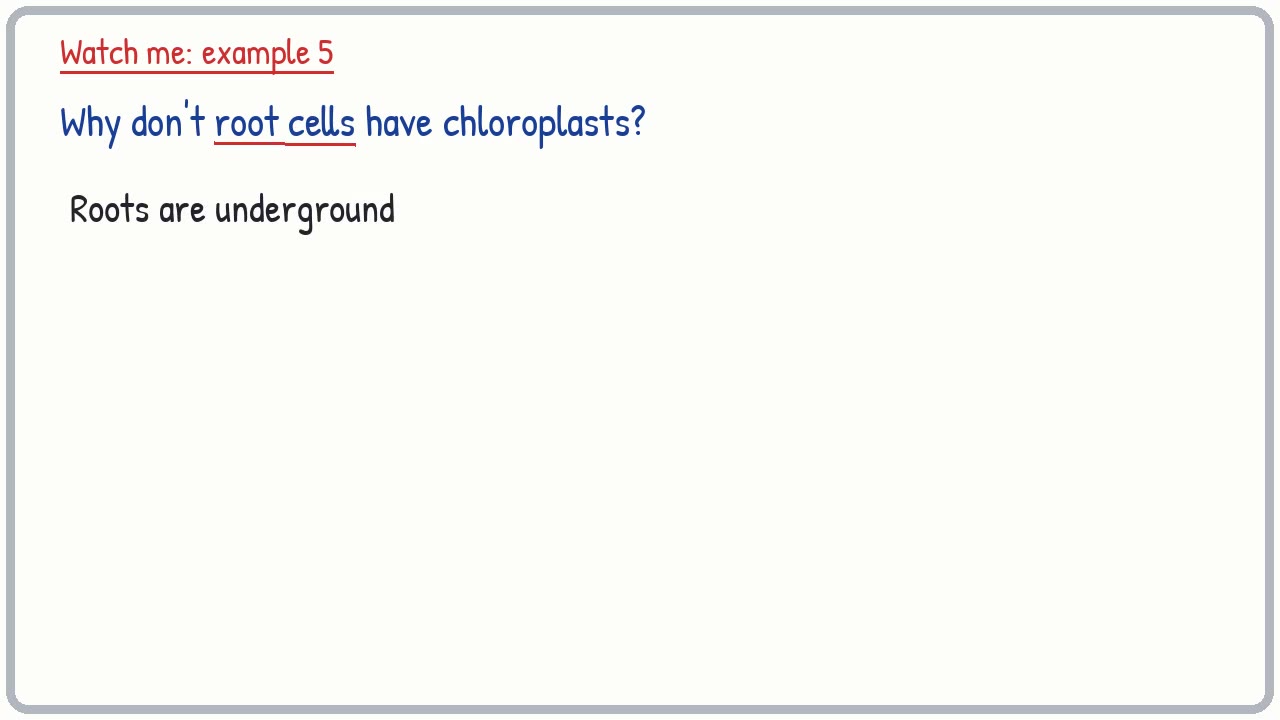 Whiteboard video lesson: Plant cells and comparing cells