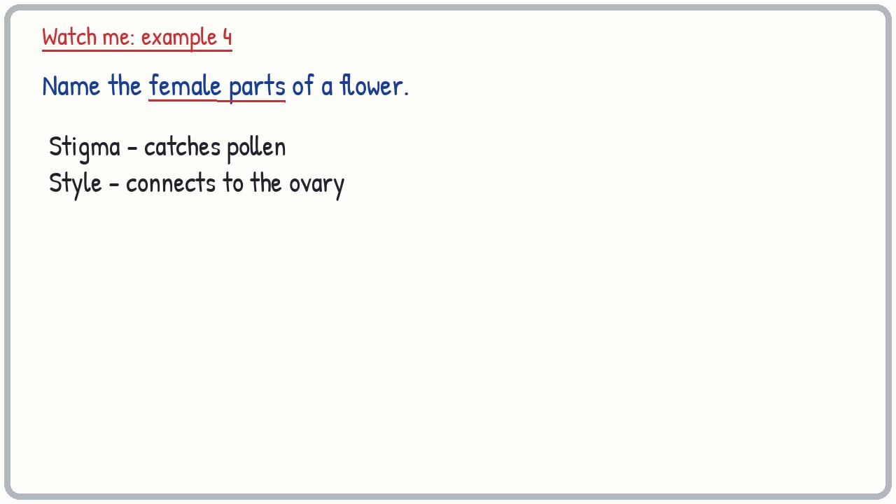 Whiteboard video lesson: Plant reproduction