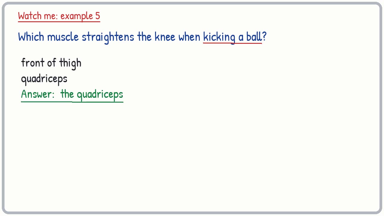 Whiteboard video lesson: Bones, muscles and movement